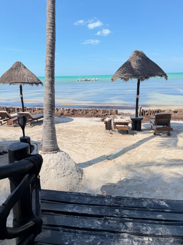 Beachfront Hotel La Palapa-官方