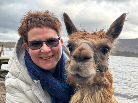 Alpacaly Ever After-Portinscale必去景点