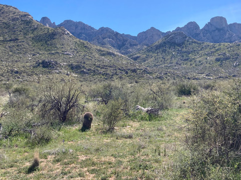 Catalina State Park-图森必去景点