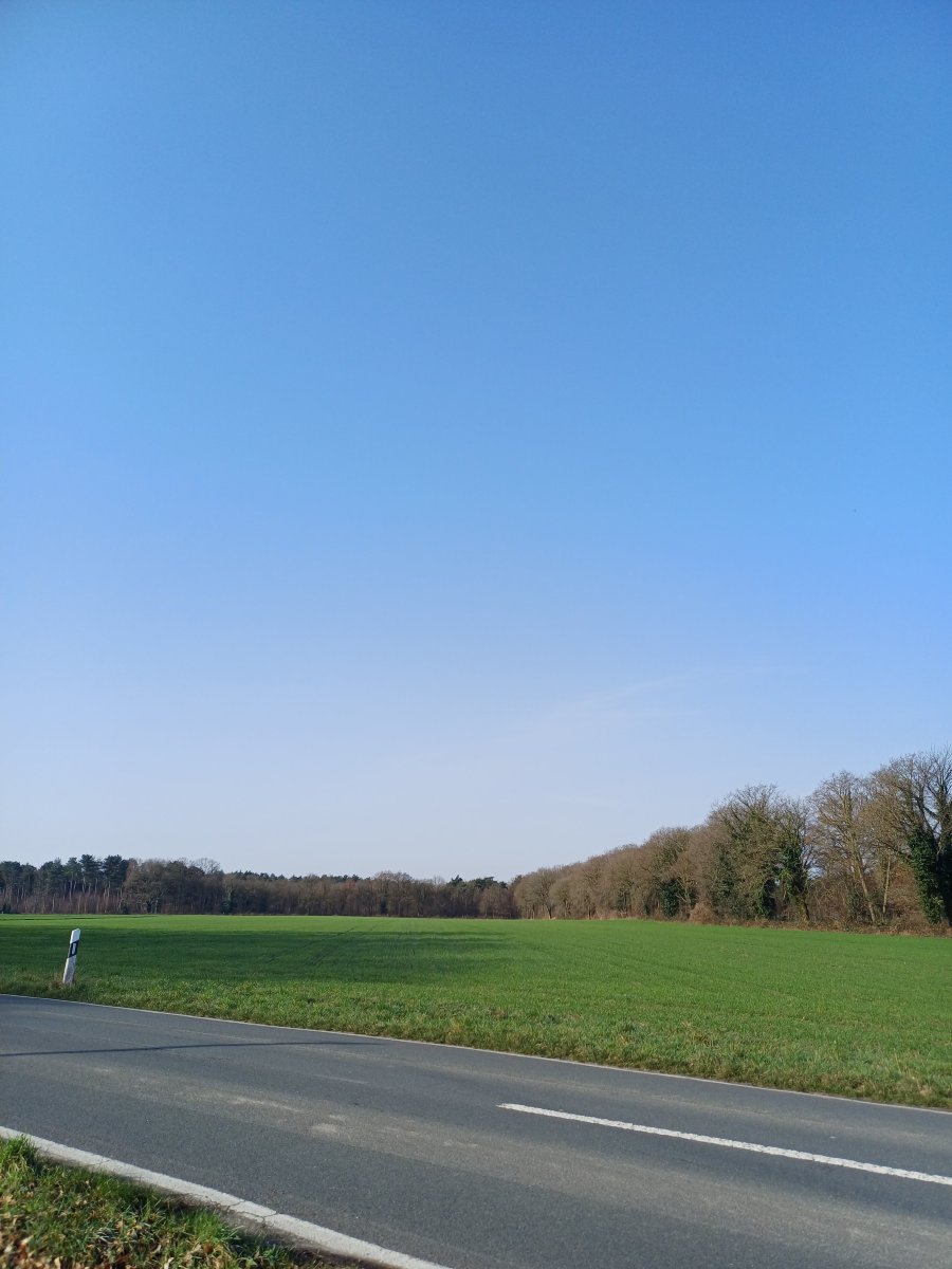 索罗斯瓦尔贝克酒店-官方