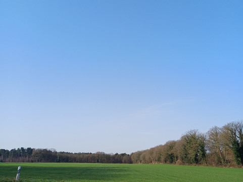 索罗斯瓦尔贝克酒店主图