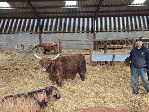 Colready Highlands-Brackley必去景点