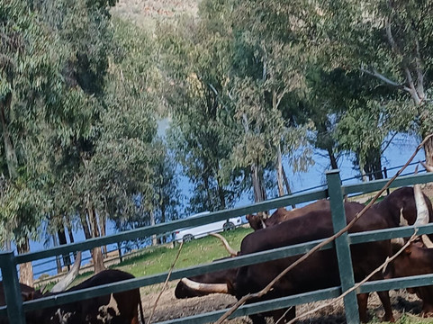 La Reserva del Castillo de las Guardas-塞维利亚必去景点