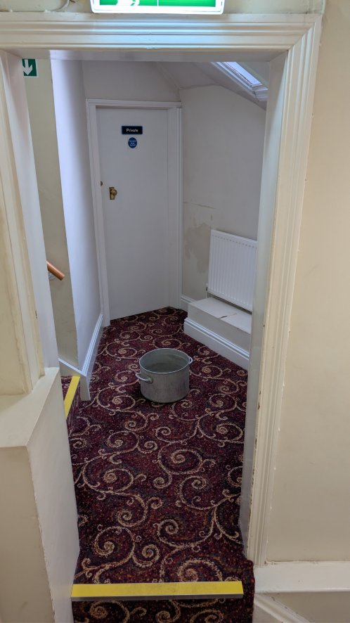 白鹿 - 安多弗马斯顿旅馆-官方