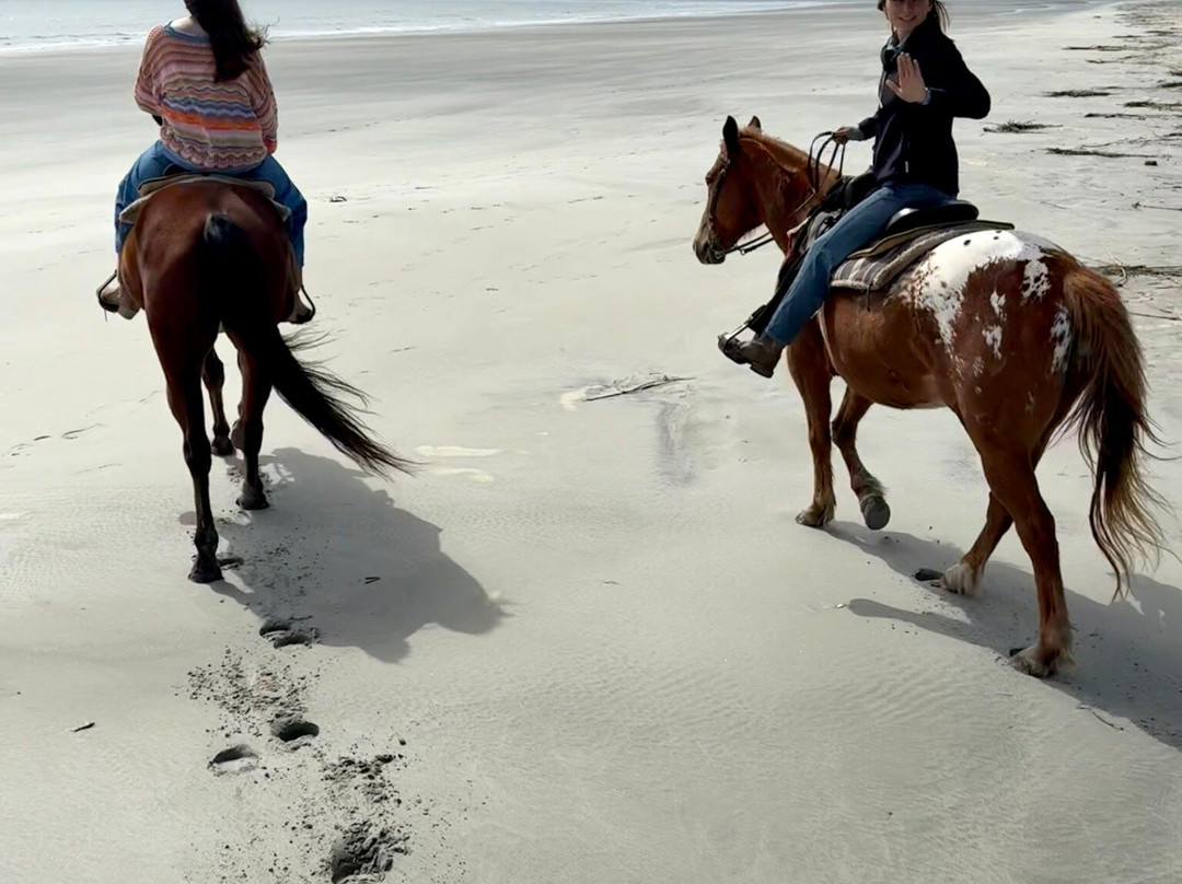 The Stables at Frederica,-圣西蒙斯岛必去景点