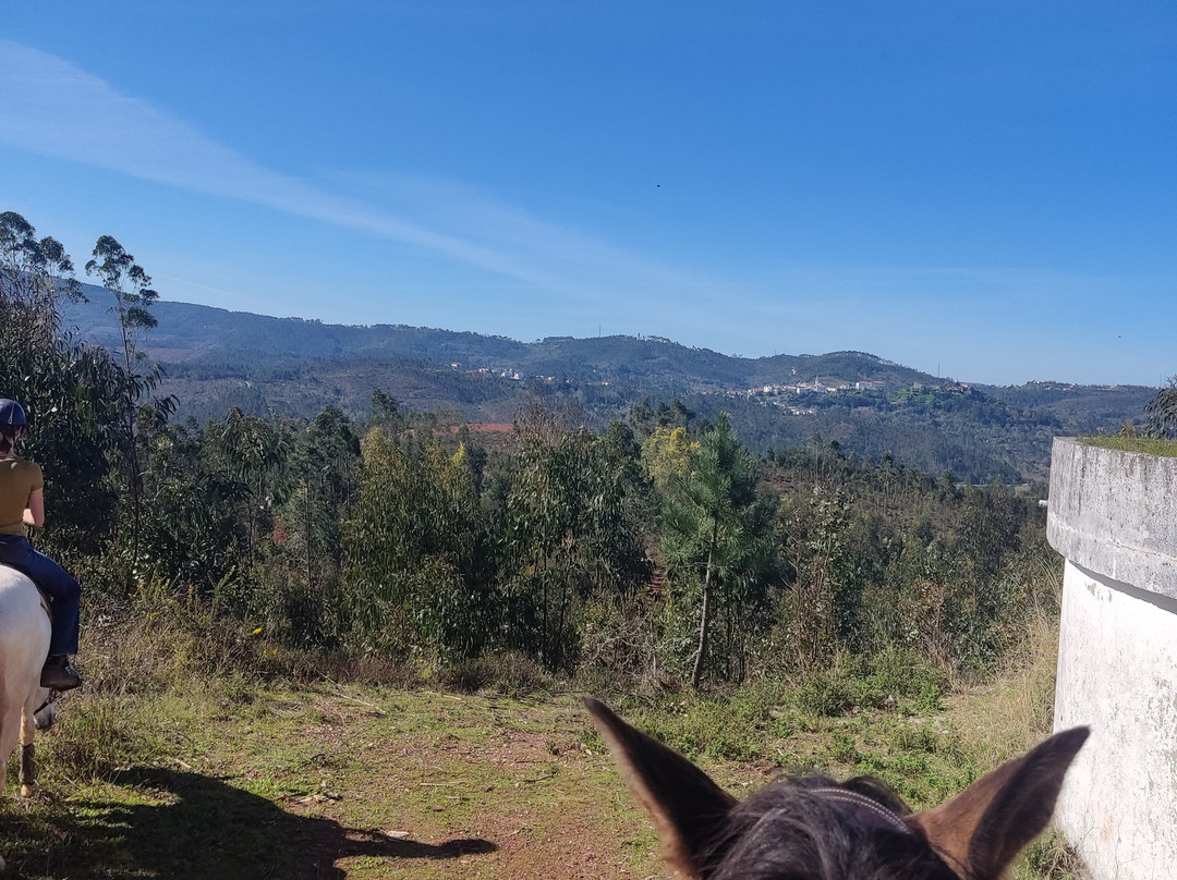 Horse Riding Penela-Espinhal必去景点