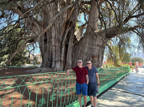 Luis Ramirez Tours-瓦哈卡必去景点