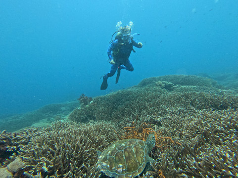 Bali Hai Diving Adventures-蓝梦岛必去景点