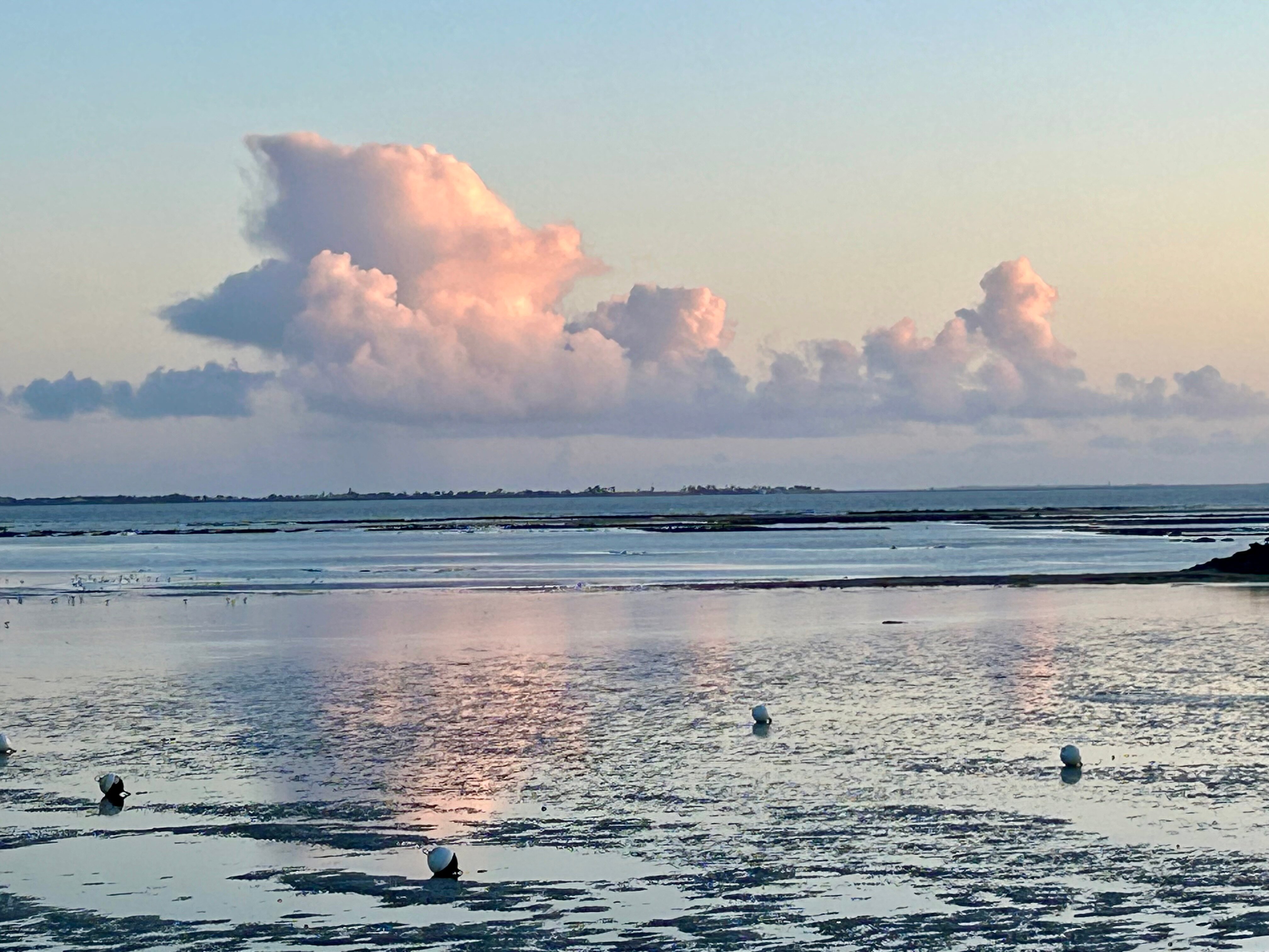 美憬阁拉罗谢尔大露台水疗酒店-官方