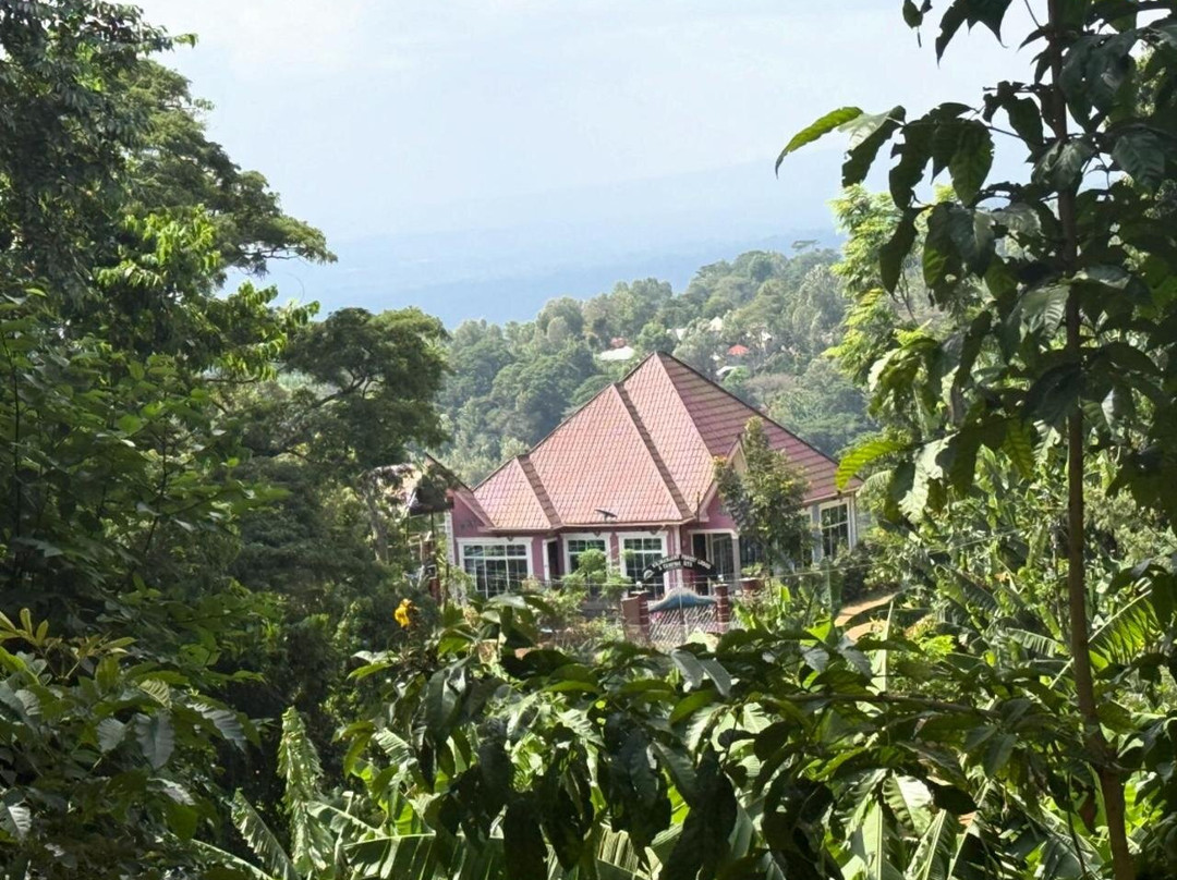 Kilimanjaro Forest Lodge and Camping Site