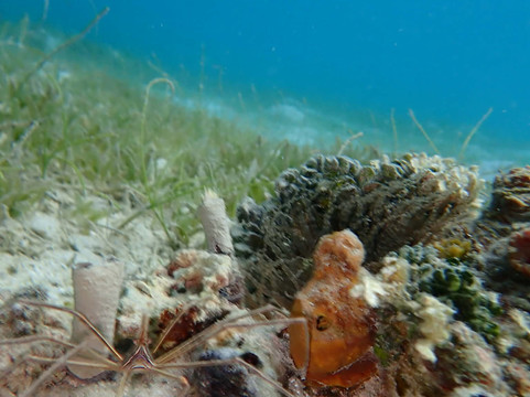 St.Thomas Adventures-圣 托马斯必去景点