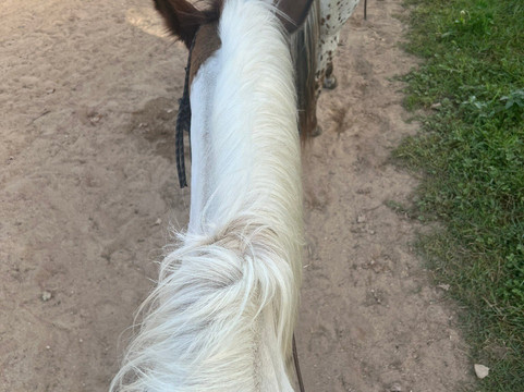 Hawaii Polo Trail Rides-瓦亚禄必去景点