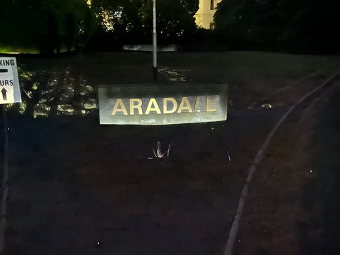 Aradale Ghost Tour - Eerie Tours-亚拉拉特山必去景点