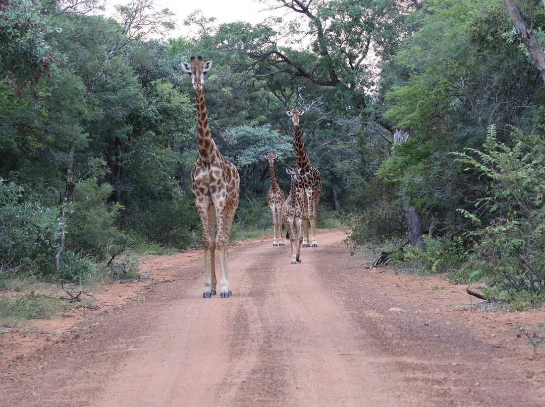 Marakele National Park-水堡必去景点