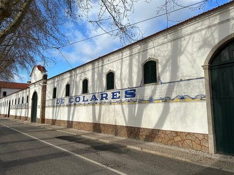 Adega Regional de Colares-科拉雷斯必去景点