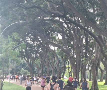 城巿公园-巴西利亚必去景点