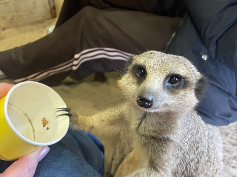 Wigfield Farm-巴恩斯利必去景点