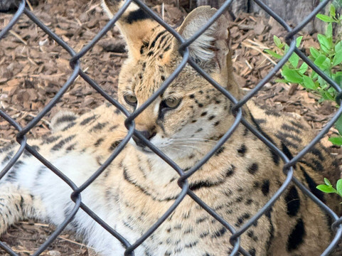 Panther Ridge Conservation Center-Loxahatchee必去景点