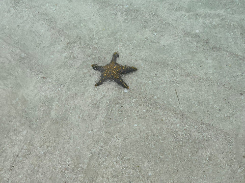 Nyange Sandbank-Nyange Island必去景点