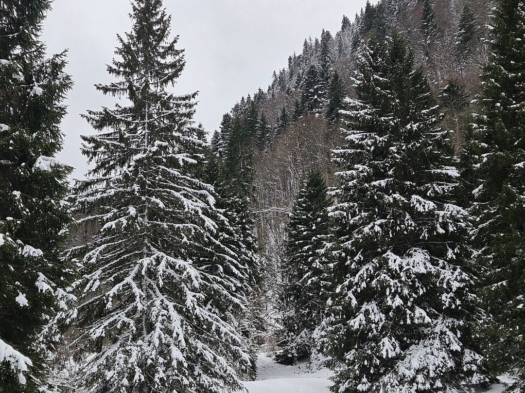 Lac de Vallon-Bellevaux必去景点