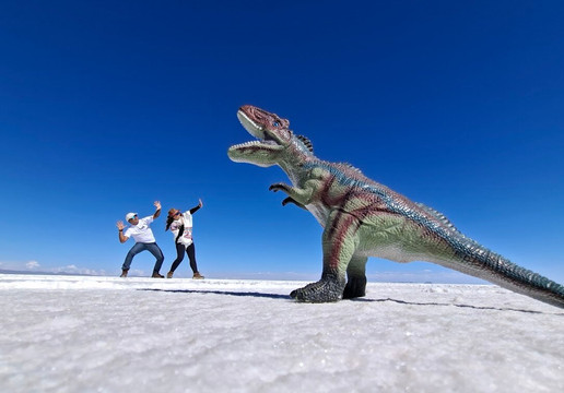 Turismo Ollague-乌尤尼必去景点