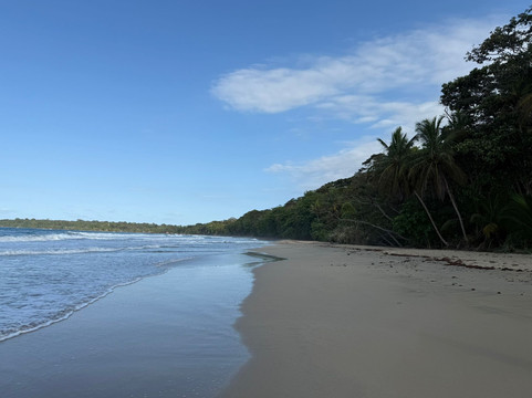 Manzanillo酒店住宿-Almonds and Corals Hotel