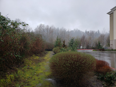 萨姆纳-皮阿拉普地区Candlewood Suites主图