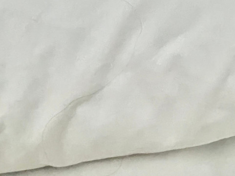 温德姆戴斯酒店 罗阿诺克/霍林斯 靠近I-81主图