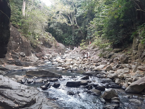Cascade Le Saut de L'Acomat-Pointe-Noire必去景点