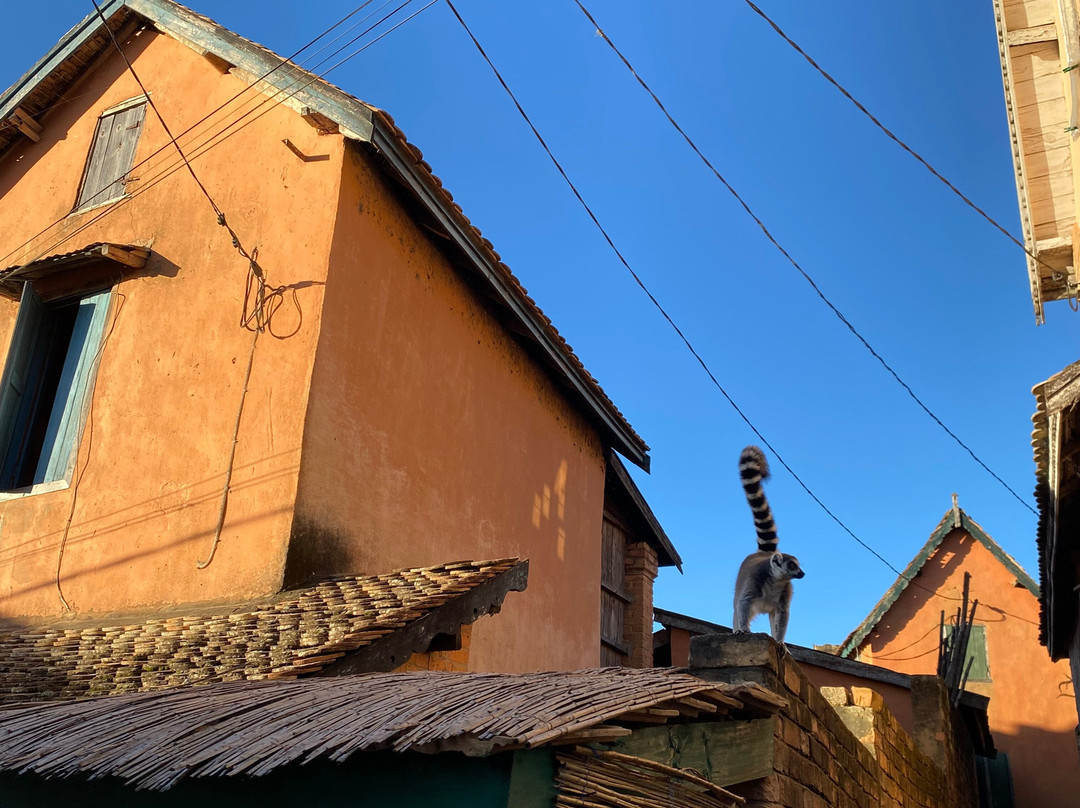 Tsiky Tour Madagascar-安塔那那利佛必去景点