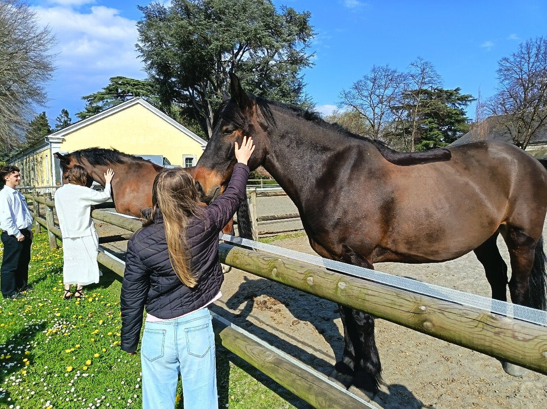 LE HARAS DE TARBES-塔布必去景点