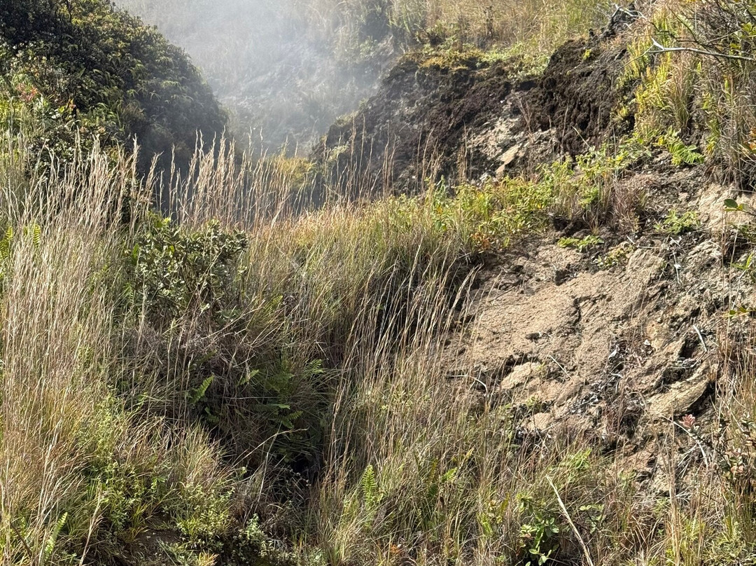 Steam Vents-帕霍亚必去景点