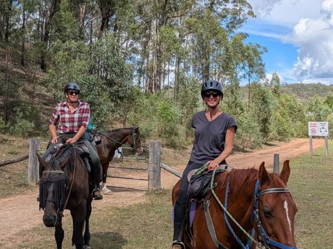 Chapman Valley Horse Riding-Howes Valley必去景点