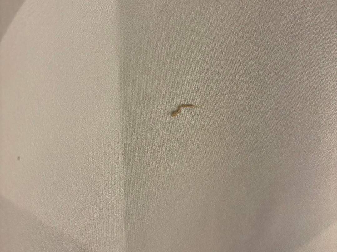 巴黎东博比尼大学民宿酒店主图