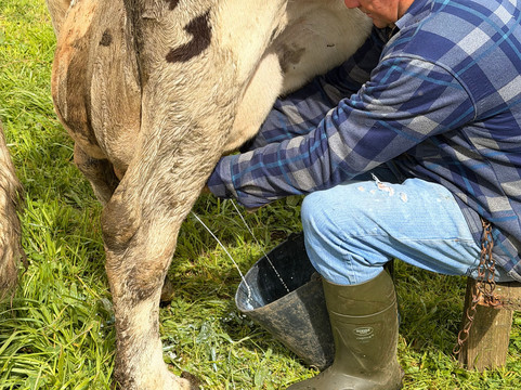 Quinta do Agricultor-蓬塔德尔加达必去景点