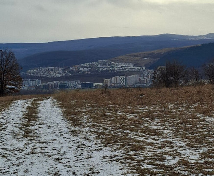 Hoia Baciu Forest-克卢日-纳波卡必去景点