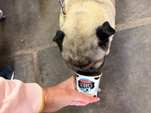 Garwnant Visitor Centre-梅瑟蒂德菲尔必去景点