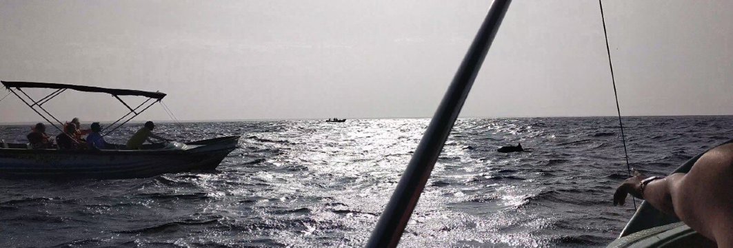 温德布伦德风筝度假村-度假村/酒店