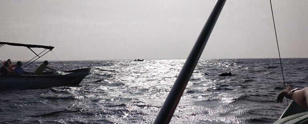 温德布伦德风筝度假村主图