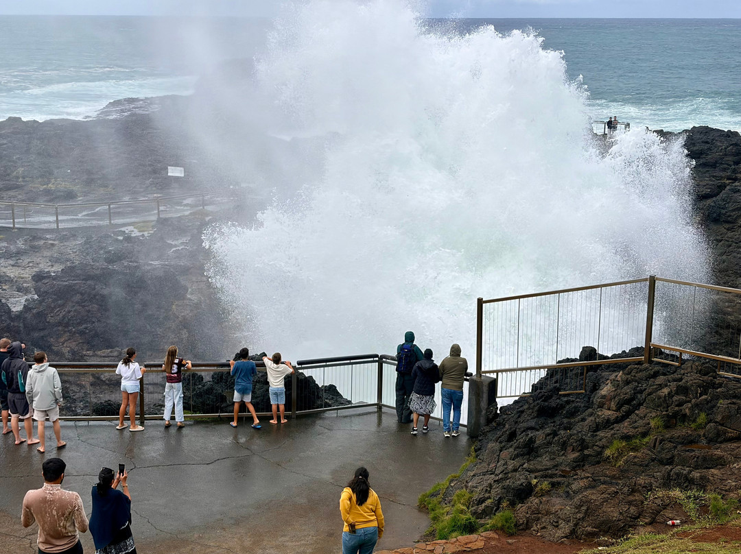公园岭度假村主图