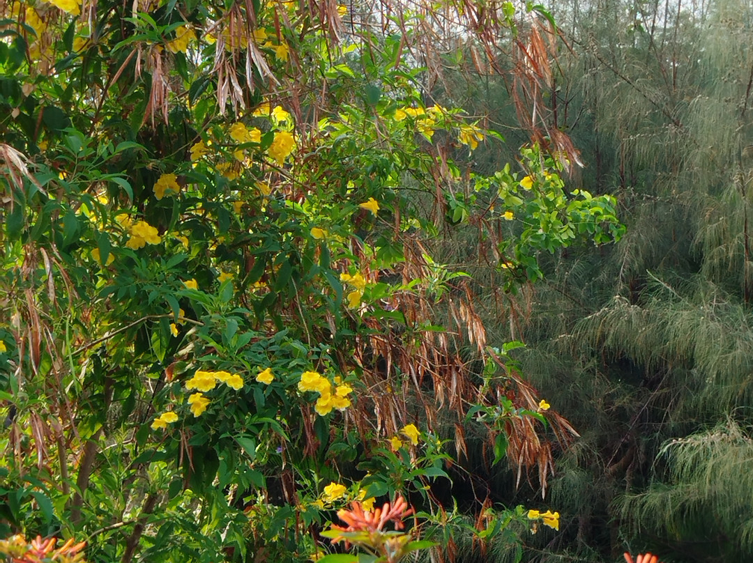 Cardamom House主图