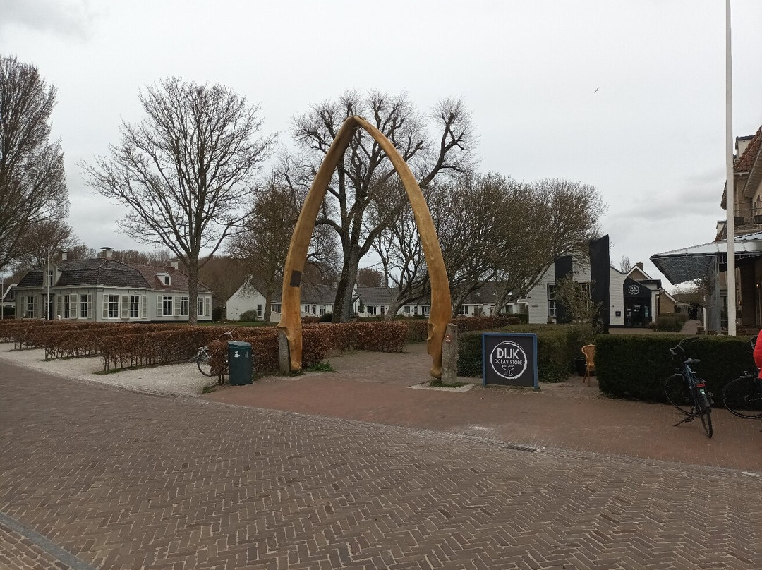 Whale Jaws-Schiermonnikoog必去景点