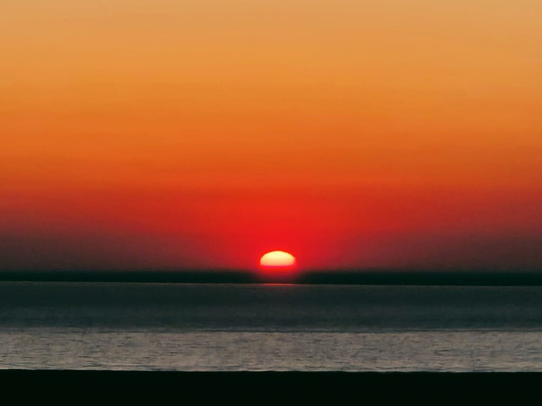 Aral Sea Discovery-Nukus必去景点