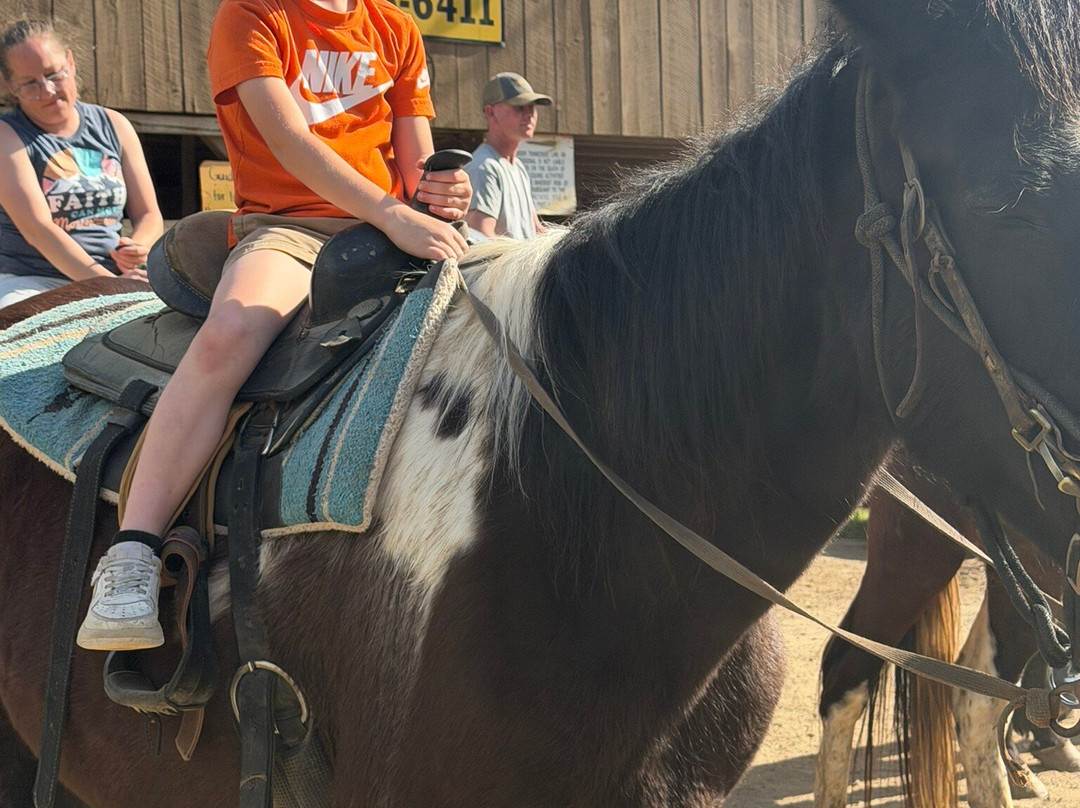 Davy Crockett Riding Stables-汤森必去景点