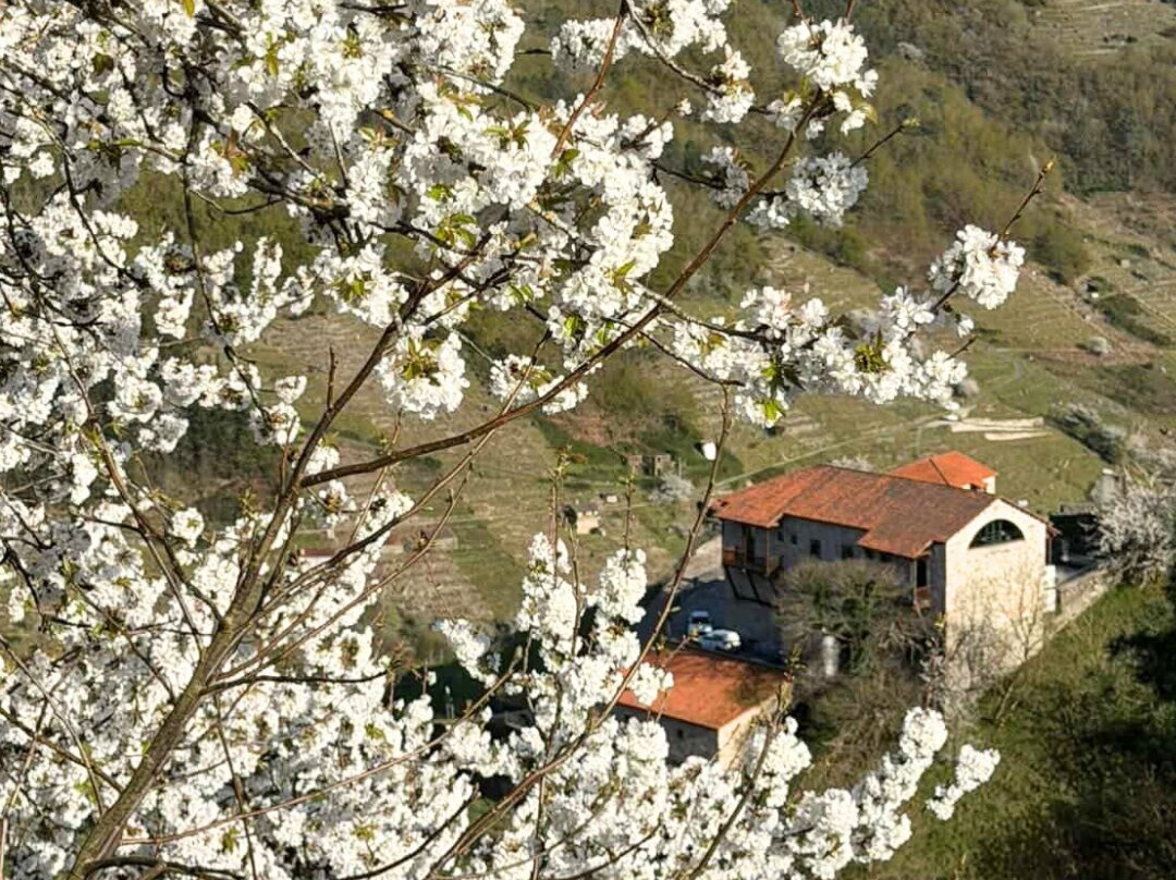 Via Romana Adegas e Vinedos-Chantada必去景点