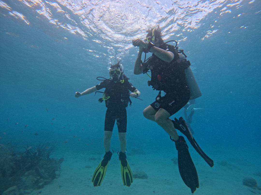 Duik op Curacao-威廉斯塔德必去景点