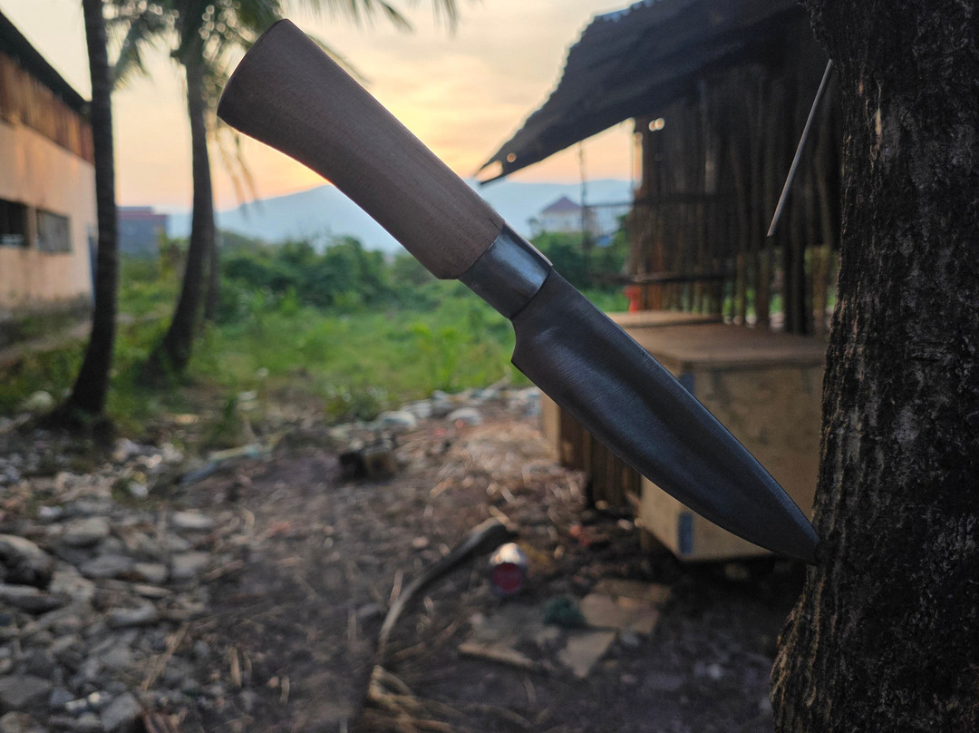 Irrawaddy Dolphins & Coastal Wonders Tour-贡布必去景点