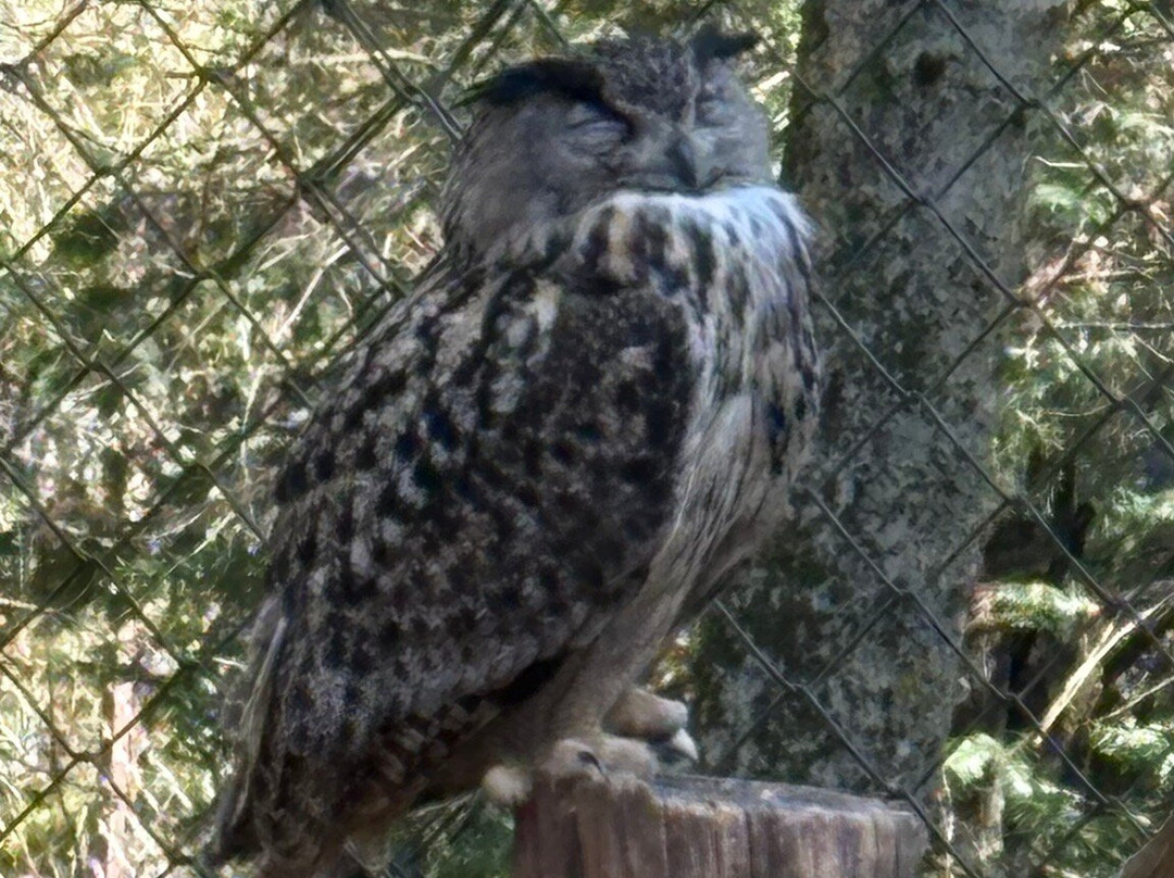Parc Des Oiseaux-Villars-les-Dombes必去景点