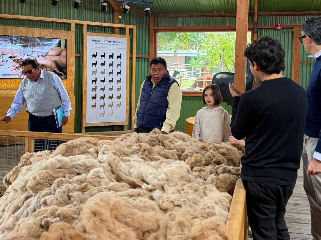 Mundo Alpaca Arequipa-阿雷基帕必去景点