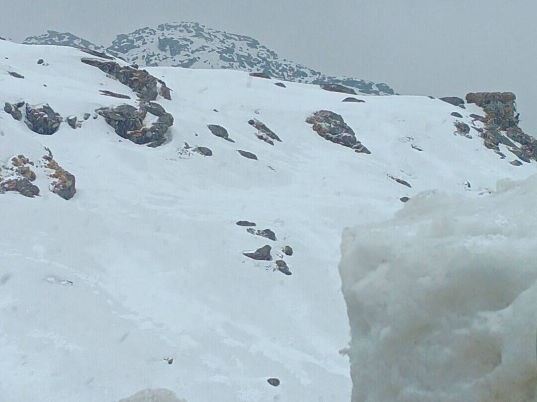 Darjeeling Travels-Bagdogra必去景点